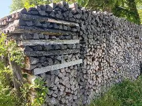 Brennholz Brennholz Esche
