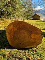 Rundholz Esche Astrein