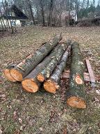 Rundholz Kirsche Großdietmanns