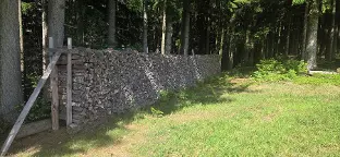 Brennholz Birke Scheitholz Ybbsitz