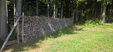 Brennholz Brennholz Birke Scheitholz