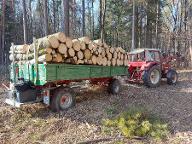 Forstbetrieb Dobler (sonstige forstliche Dienstleistung, sonstige Holz-Dienstleistung, Holzernte & Rückung, Brennholz: Produktion/Handel) Bayern - Schwabmünchen