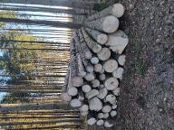 Rundholz Fichte Fixlänge 5,10m