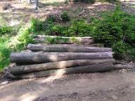 Rundholz Rotbuche Brennholz