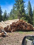 Brennholz Buche Leutasch