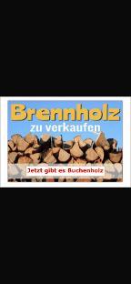 Brennholz Kiefer, Buche Astrein und klein gespalten