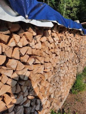Brennholz Esche, Buche