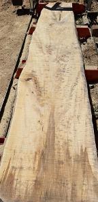 Schnittholz Ahorn - Nr. 24030