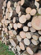 Brennholz Esche Bezau