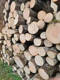 Brennholz Brennholz Esche