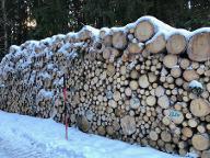 Rundholz Fichte Regen