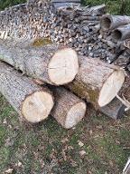 Rundholz Linde Aigen 