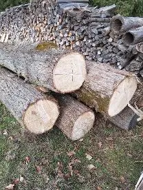Rundholz Rundholz Linde