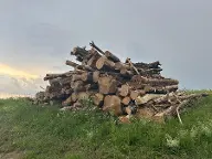 Rundholz Sonstiges Holz Akazienrundholz Großwilfersdorf