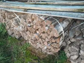 Brennholz Brennholz Birke