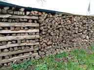 Brennholz Esche