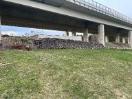 Brennholz Esche, Buche, Erle Sieggraben