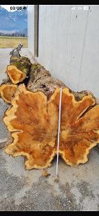 Rundholz Sonstiges Holz Mammutbaum