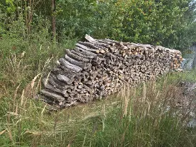 Brennholz Brennholz Eiche
