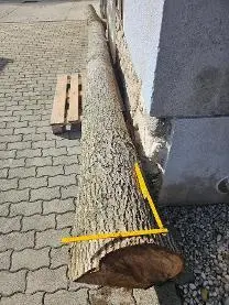 Rundholz Rundholz Nuss Astrein