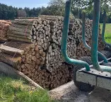 Brennholz Ahorn Pischelsdorf am Engelbach