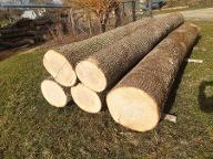 Rundholz Esche