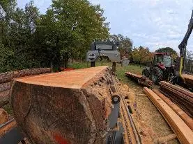 Dienstleistung Daniel Karnitsch Sägewerk und Holzhandel