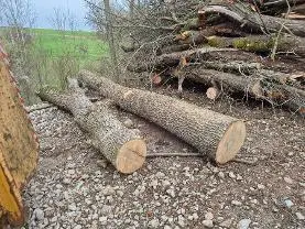 Rundholz Rundholz Esche