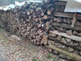 Brennholz Brennholz Esche