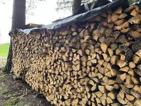 Brennholz Brennholz Fichte, Buche