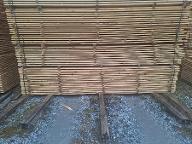 Schnittholz Kiefer Trocken, Qualität I-III Schönbach