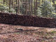 Brennholz Buche Unterlamm