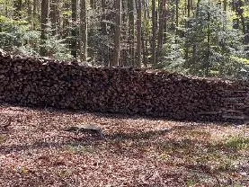 Brennholz Brennholz Buche