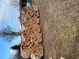 Brennholz Brennholz Fichte, Eiche, Buche