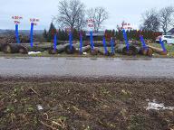 Rundholz Eiche Biberbach