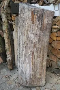 Holzprodukte Birne Halbstamm