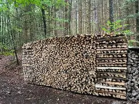 Brennholz Brennholz Fichte