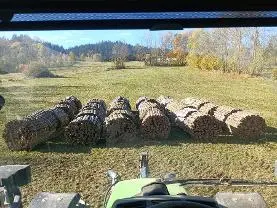 Brennholz Brennholz Fichte, Tanne