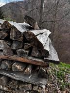 Brennholz Buche Semriach 