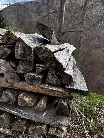 Brennholz Brennholz Buche