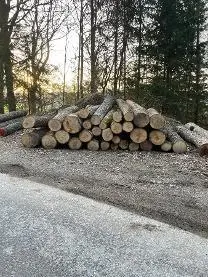 Rundholz Rundholz Esche