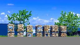 Brennholz Buche Wartberg an der Krems