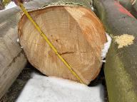 Rundholz Buche Astrein Sieggraben