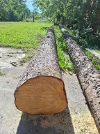 Rundholz Fichte Weibern