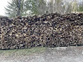 Brennholz Brennholz Buche