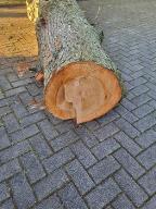 Rundholz Linde Ladbergen