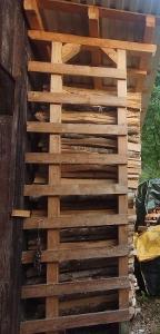 Brennholz Eibe, Esche