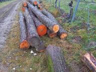 Rundholz Rundholz Erle