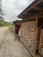 Brennholz Esche, Ahorn, Buche Sauberes Scheitholz