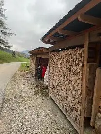 Brennholz Brennholz Esche, Ahorn, Buche Sauberes Scheitholz